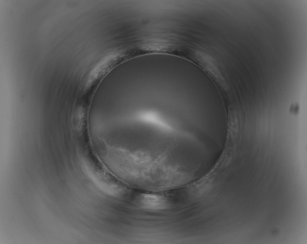 X0000111810167200907301241