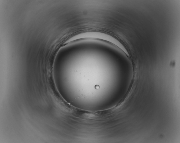 X0000111810170200907301241