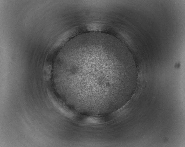 X0000111810171200907301241