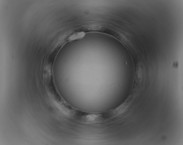 X0000111810172200907301241