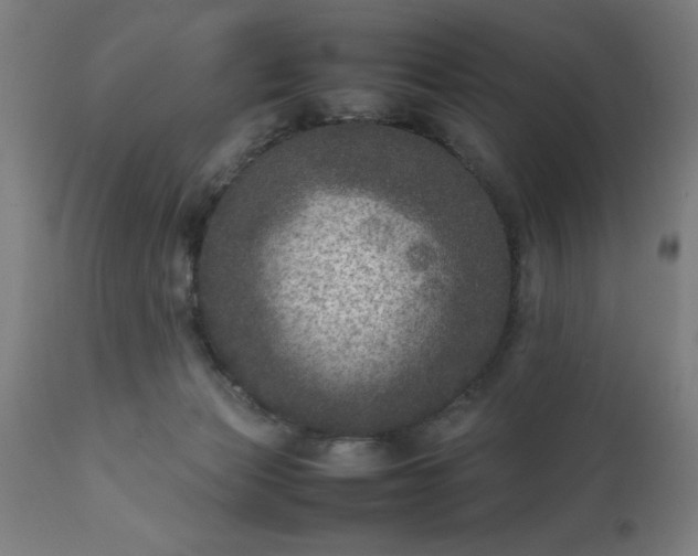 X0000111810173200907301241