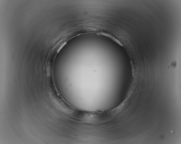 X0000111810174200907301241