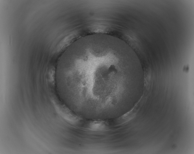 X0000111810175200907301241
