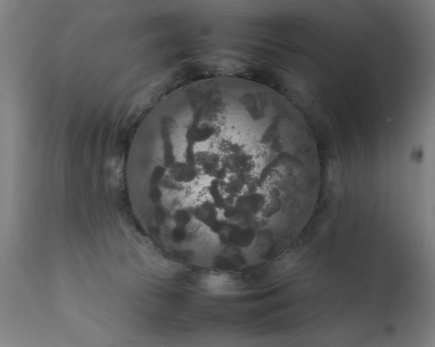 X0000111810177200907301241