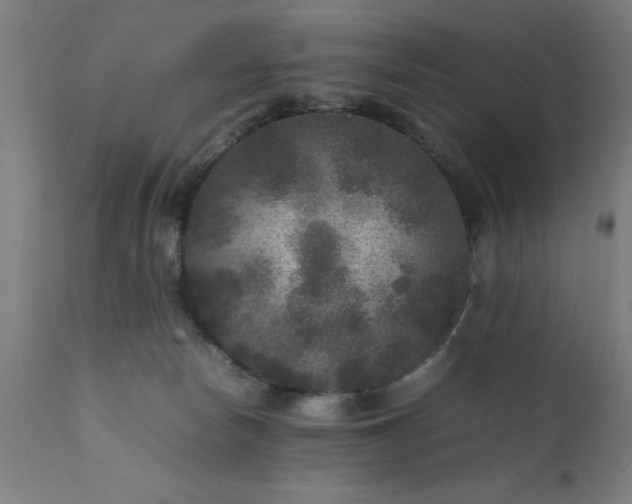 X0000111810178200907301241