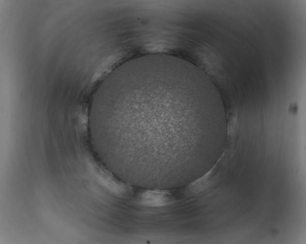 X0000111810179200907301241