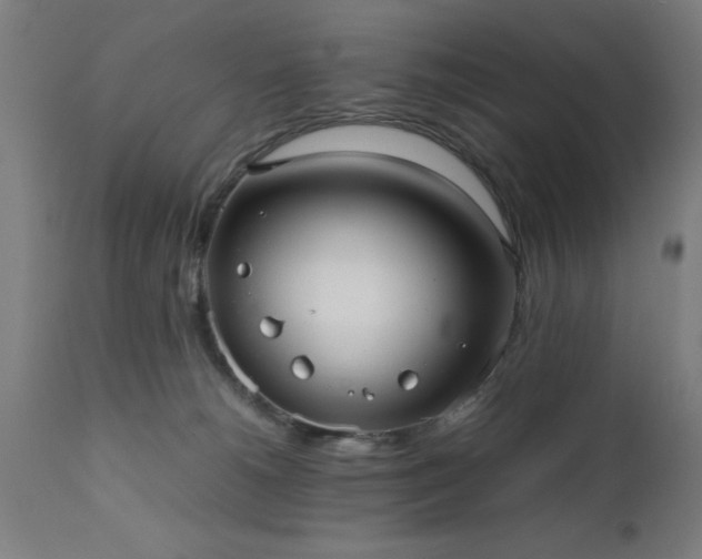 X0000111810180200907301241