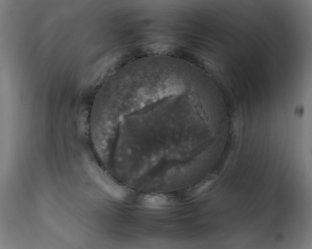 X0000111810181200907301241