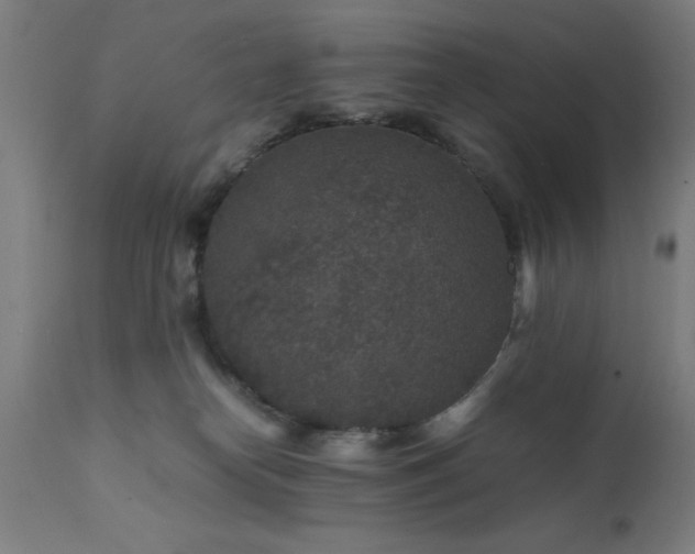 X0000111810182200907301241