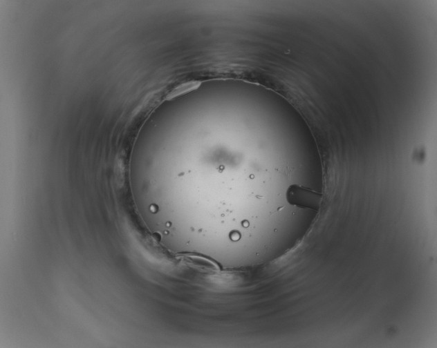 X0000111810183200907301241