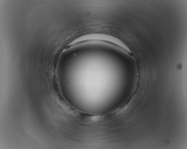 X0000111810184200907301241