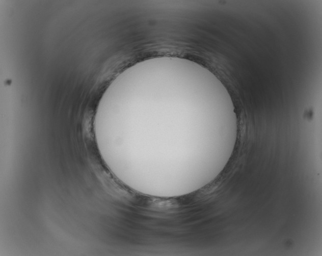X0000111810185200907301241