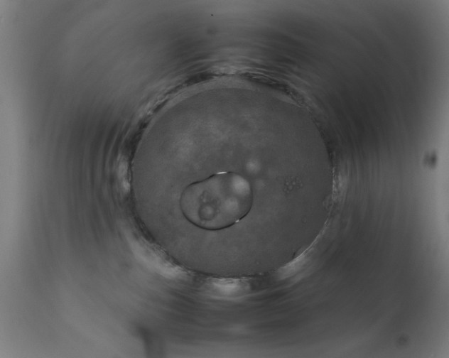 X0000111810187200907301241