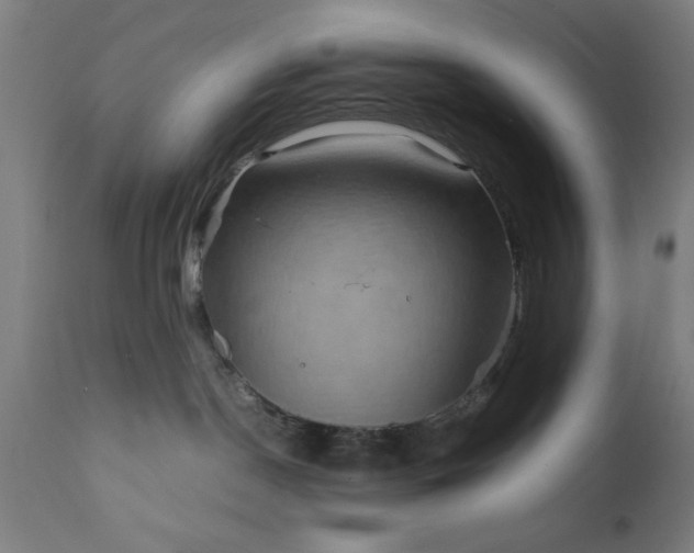X0000111810190200907301241