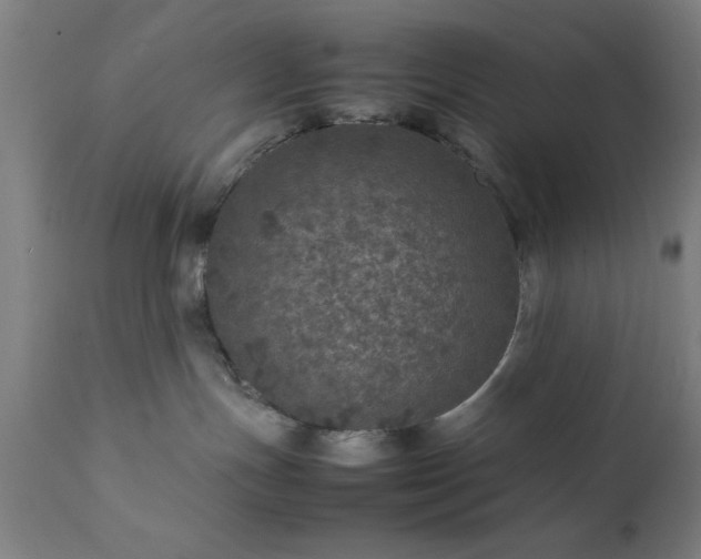 X0000111810191200907301241