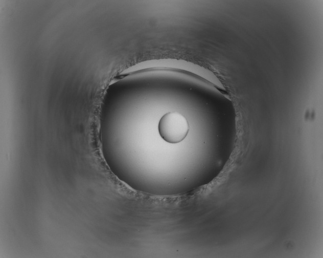 X0000111810192200907301241