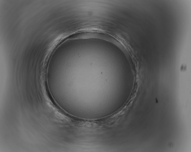 X0000111810193200907301241