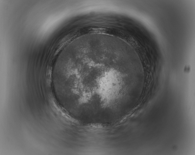 X0000111810194200907301241