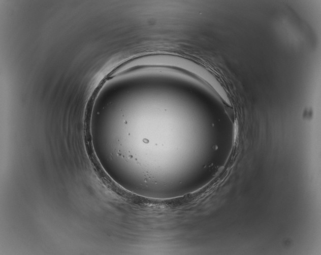 X0000111810195200907301241