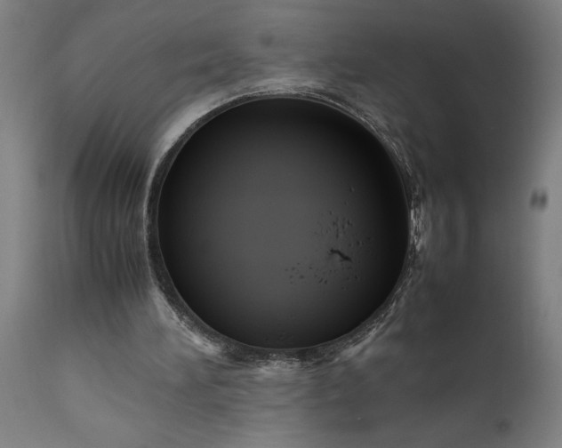 X0000111810196200907301241