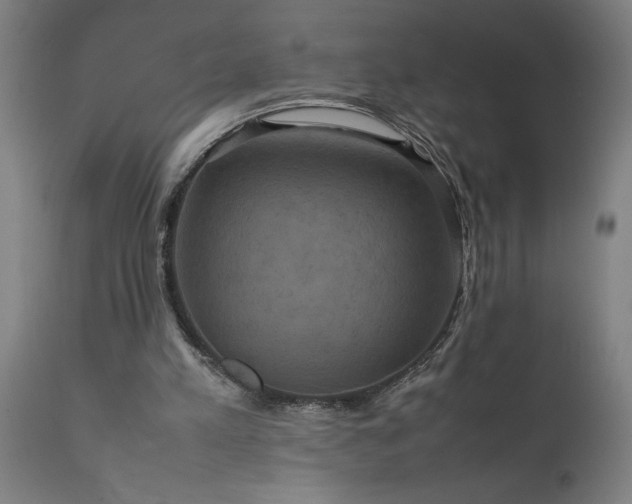 X0000111810197200907301241