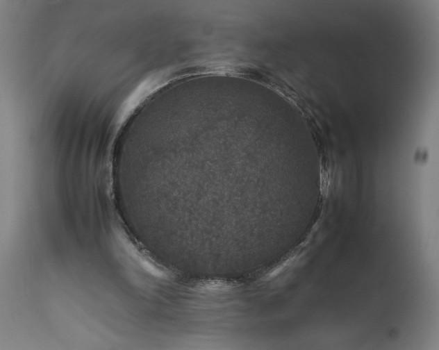 X0000111810198200907301241