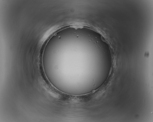 X0000111810199200907301241