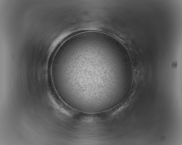 X0000111810200200907301241