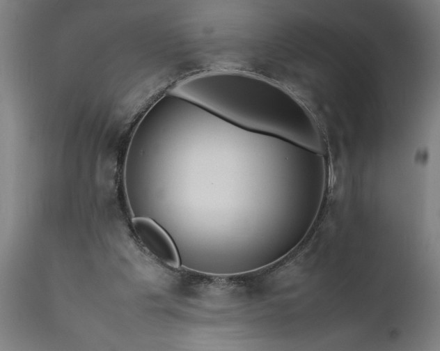 X0000111810201200907301241