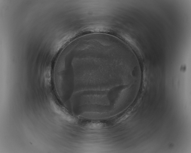 X0000111810202200907301241