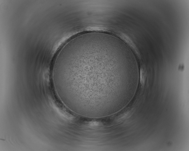 X0000111810204200907301241
