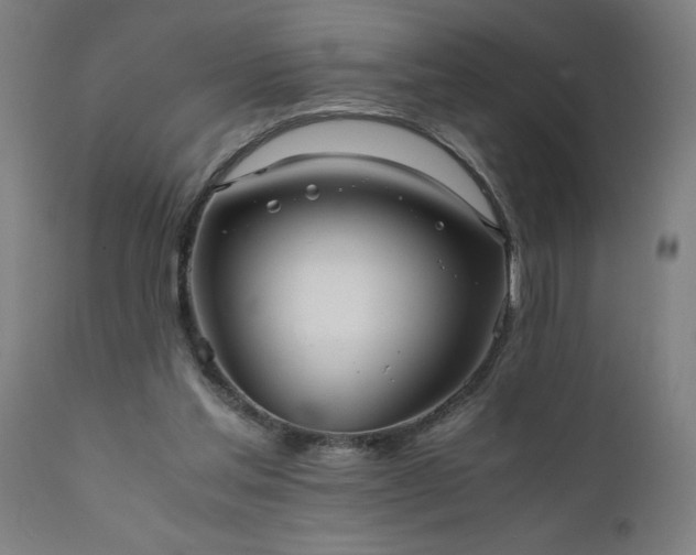 X0000111810205200907301241