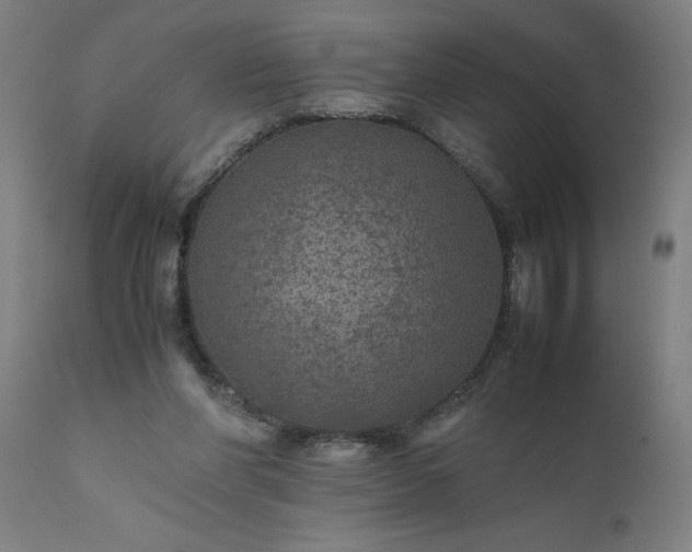 X0000111810206200907301241