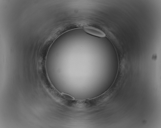 X0000111810209200907301241