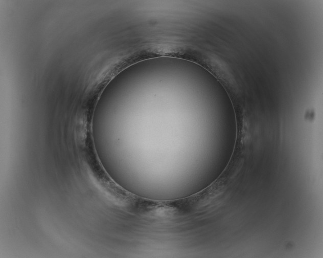 X0000111810210200907301240