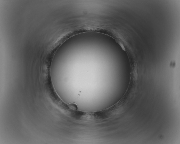X0000111810211200907301240
