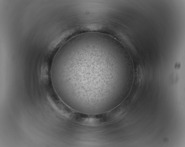 X0000111810212200907301240