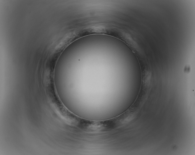 X0000111810213200907301240