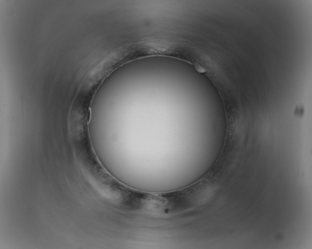 X0000111810215200907301240