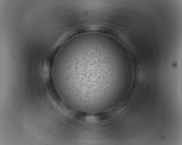 X0000111810216200907301240