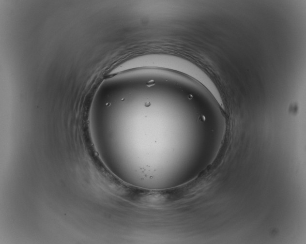 X0000111810217200907301240