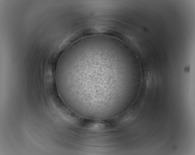 X0000111810220200907301240