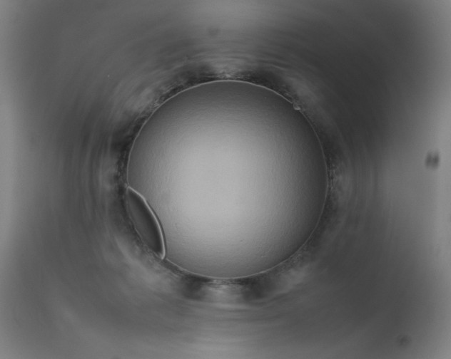 X0000111810221200907301240