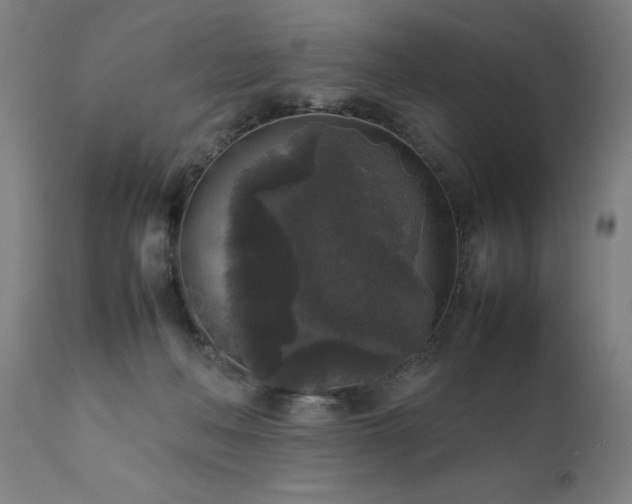 X0000111810222200907301240