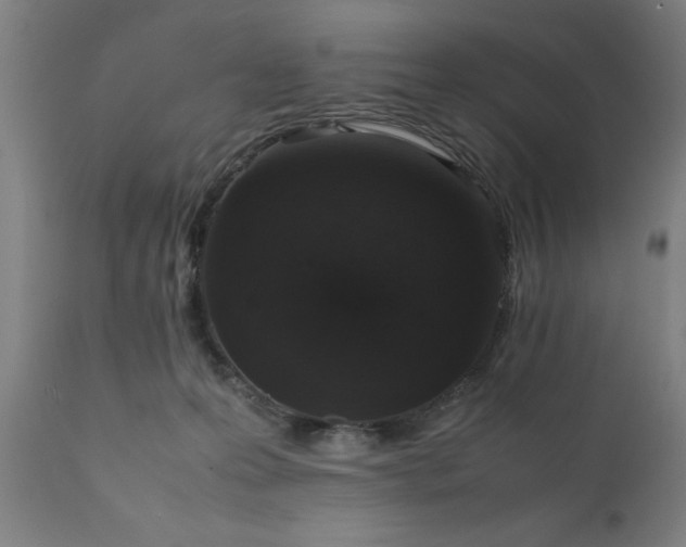 X0000111810223200907301240