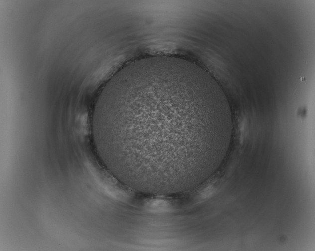 X0000111810224200907301240