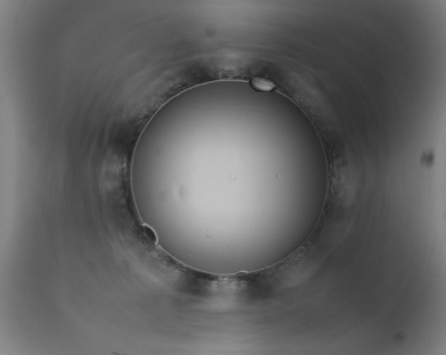 X0000111810225200907301240