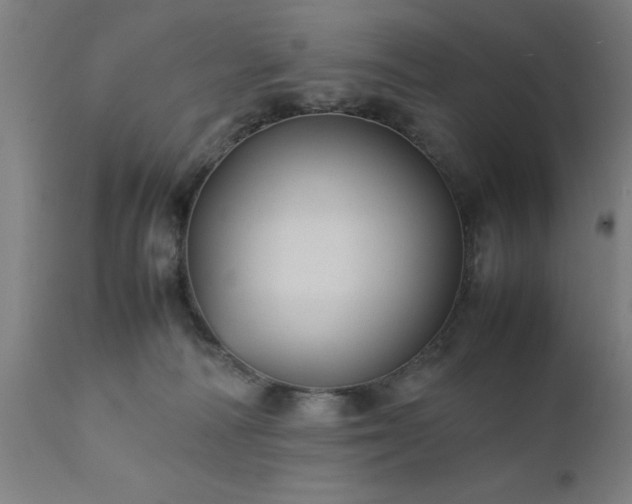 X0000111810226200907301240
