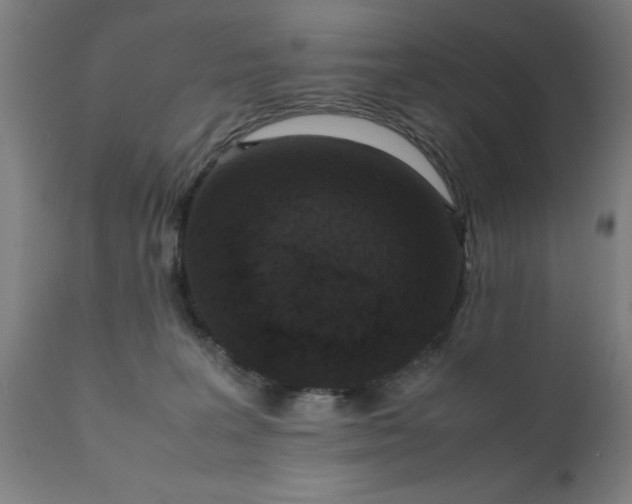 X0000111810227200907301240