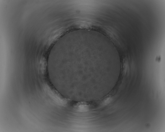 X0000111810228200907301240